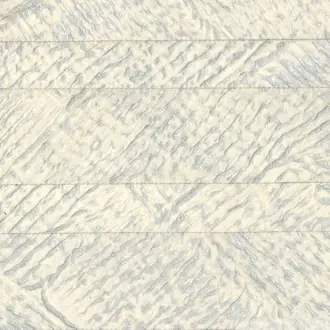 Traces RM 981 85