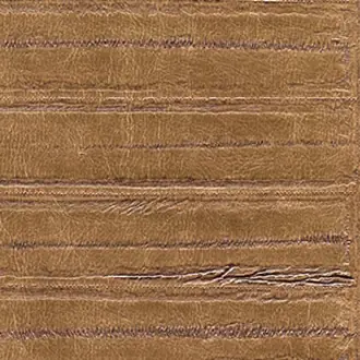 ABCG CV 102 26