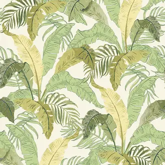 Botanic LOT003