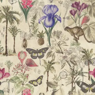 Botany F1297-02
