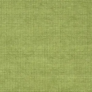 Sedge_013