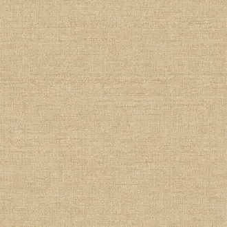 Amber 350632