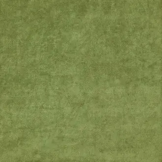 Medes 17 Leaf