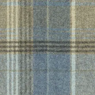 Carousel Check Blue