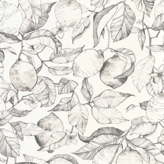 Lemon Tree 200270900