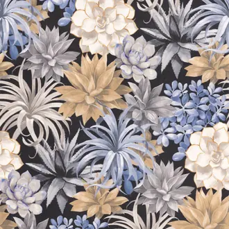 Botanica Echeveria 85911964