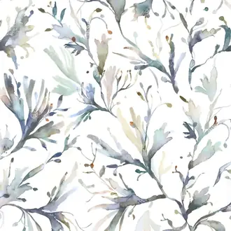 Seaweed SEAWEED-1018