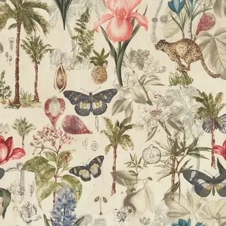 Botany F1297-03