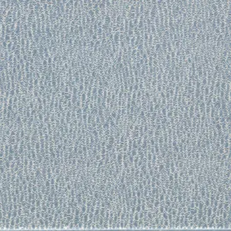 Lacuna 134041