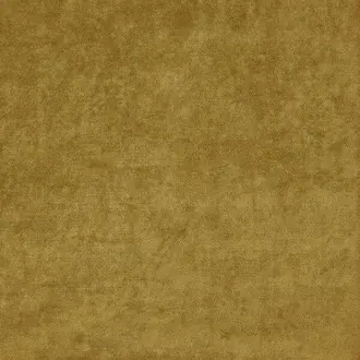 Medes 18 Mustard