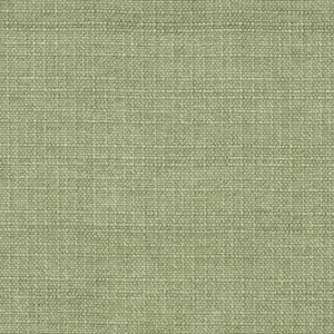 Sedge_014