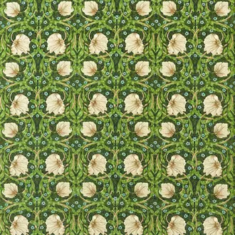 Pimpernel 227215