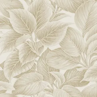 Shades of White WS70305
