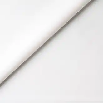 Palm Plain 2122-10