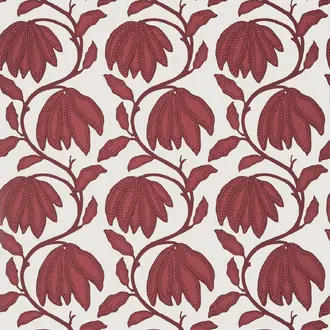 Desert Flower T12010