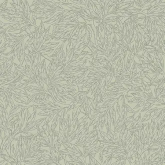 Salix Alba 7787