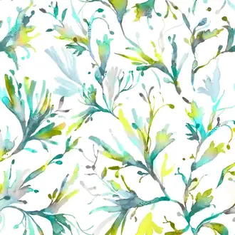 Seaweed SEAWEED-1590