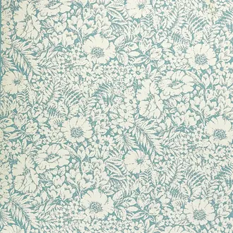 Meadow Fields 237197