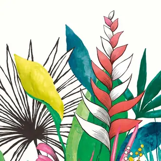 Urban Tropic CEP50107W