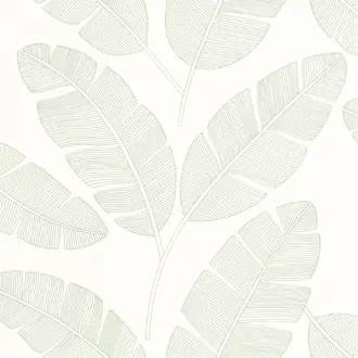 Moonlight Banana Tree 101100723