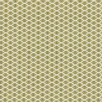 Raye Pistachio