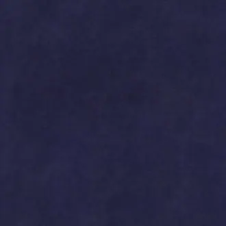 Palazzo 21 Navy