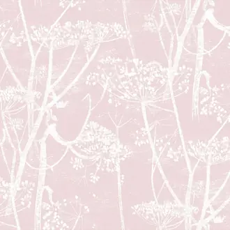 Cow Parsley F111-5018