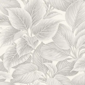 Shades of White WS70308