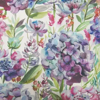 Hydrangea Grape Cream