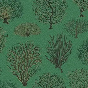 Seafern 107-2007
