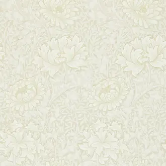 Chrysanthemum 212546