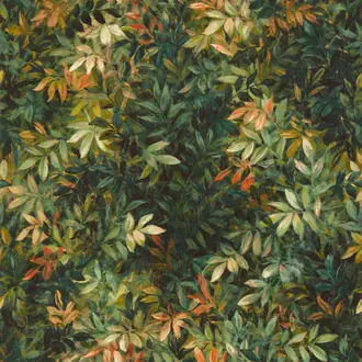 Congo W0140-02