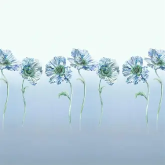 Coquelicot PDG1210-01