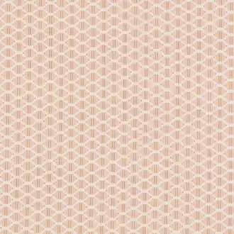 Raye Plaster