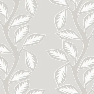 Hedera 38530