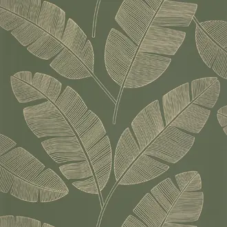 Moonlight Banana Tree 101107142
