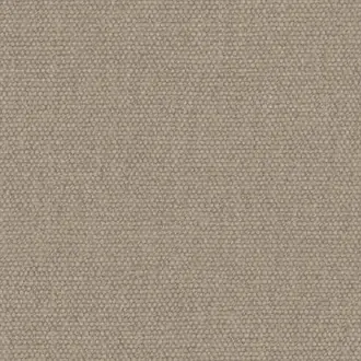 Jumbo Limewash