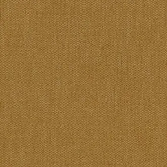 Parker Canary