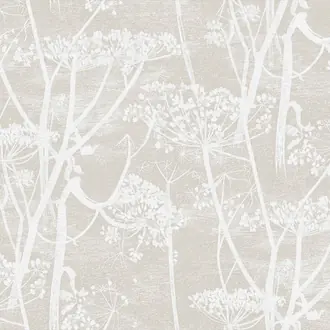 Cow Parsley F111-5019