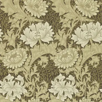 Chrysanthemum 212547
