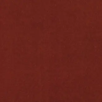 Plush Burnt Sienna M205-26