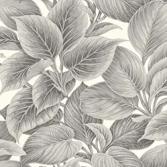 Shades of White WS70318