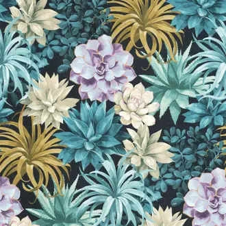 Botanica Echeveria 85916585