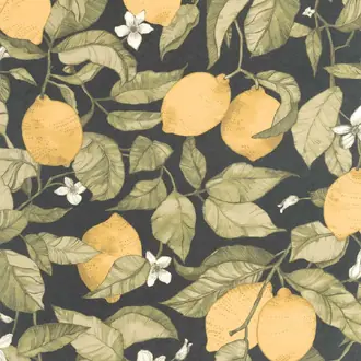 Lemon Tree 200272727