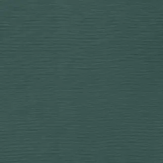 Austen Teal
