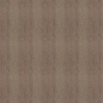 Acacia Bronze