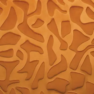 Erosion 77670220