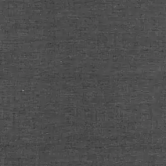 Warp Denim