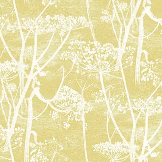 Cow Parsley F111-5020