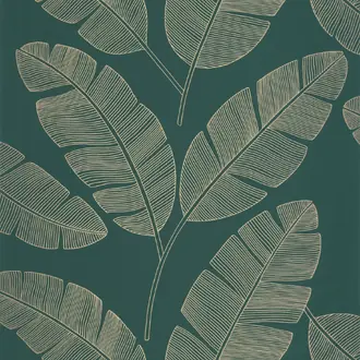 Moonlight Banana Tree 101107251
